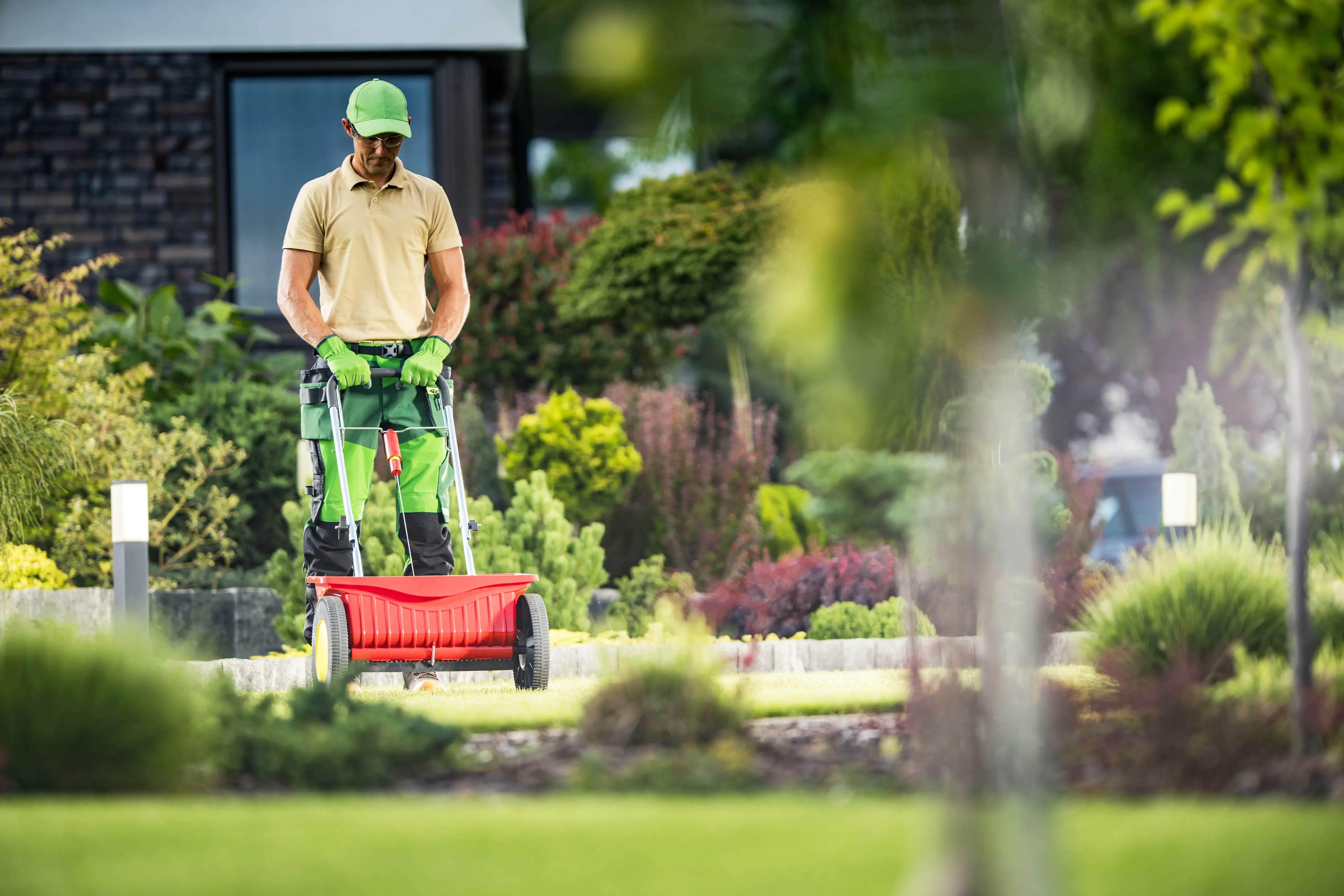 are lawn care services worth it
