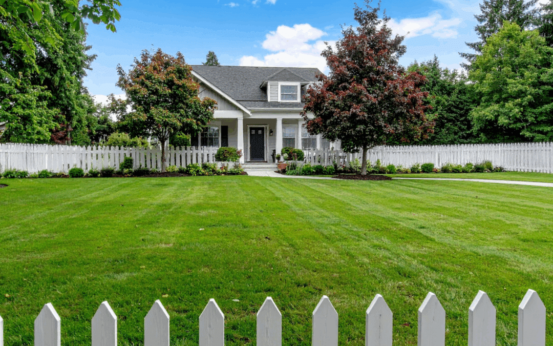 What Is a Commercial Landscape Maintenance?