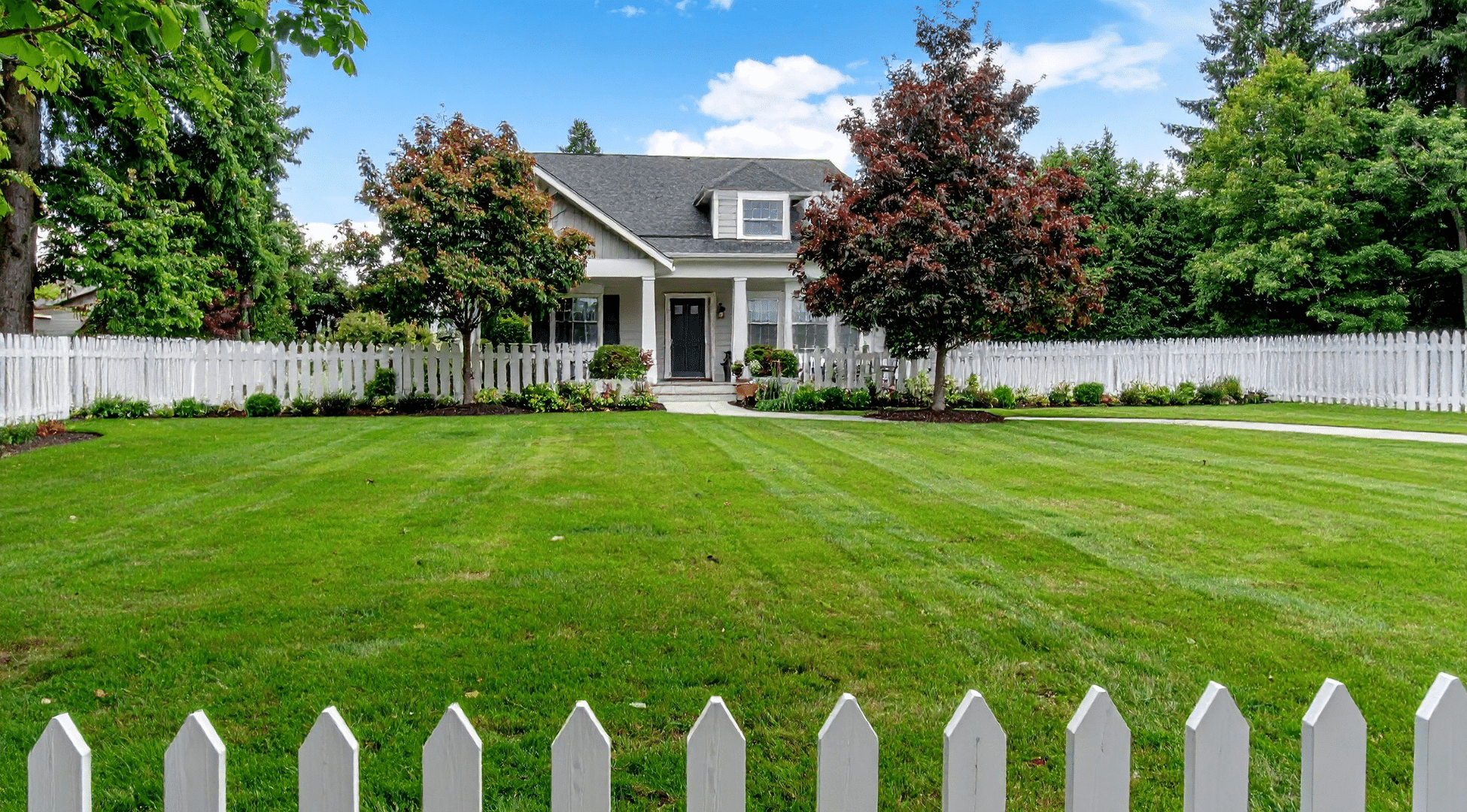 What Is a Commercial Landscape Maintenance?