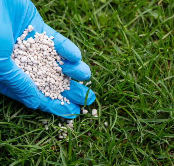 man doing Lawn Fertilization Services