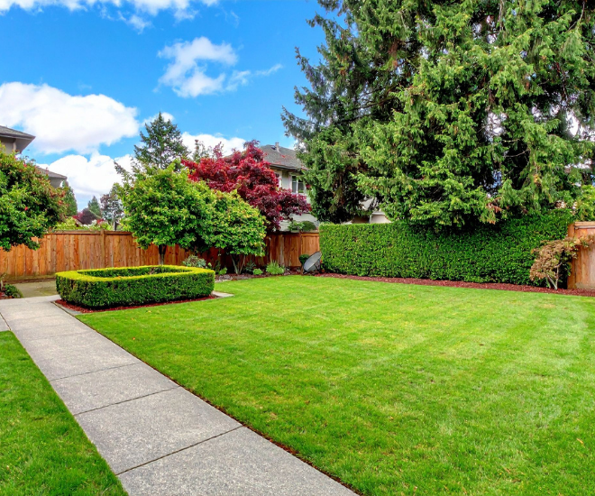 What Are The Different Types of Landscaping?
