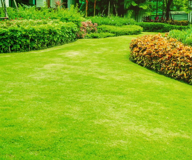 What is a commercial landscape maintenance
