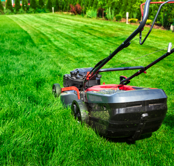 Contact Texas Sage Landscaping and Lawn LLC