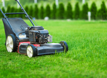 Lawn Care Services Dallas