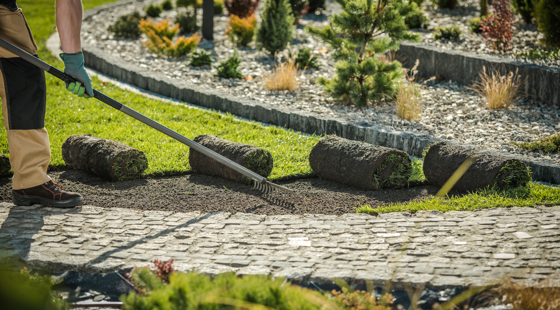 How Long Does New Sod Last?