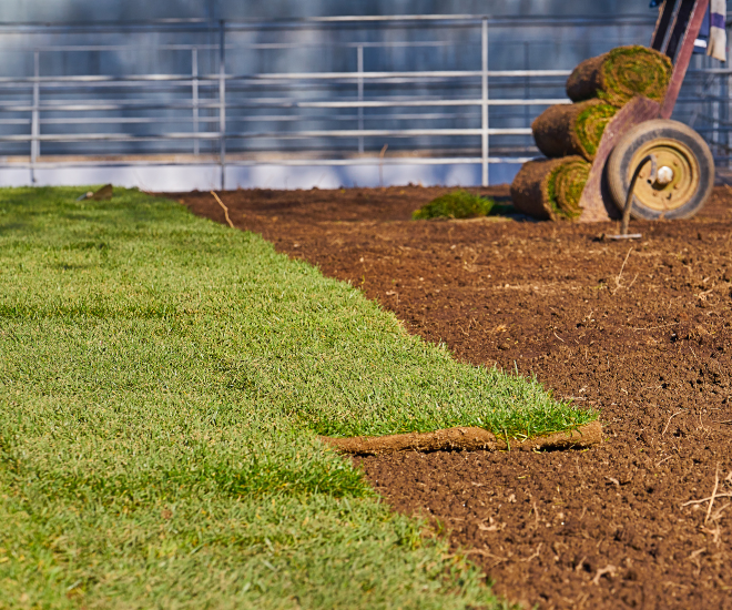 What Is The Best Time of Year For Sod Installation? 1 landscaping process involving laying sod