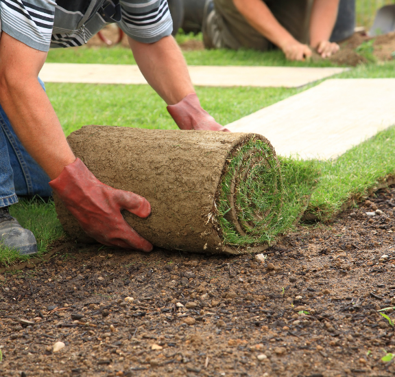 What Is The Best Time of Year For Sod Installation? 2 What is the best time of year for sod installation?