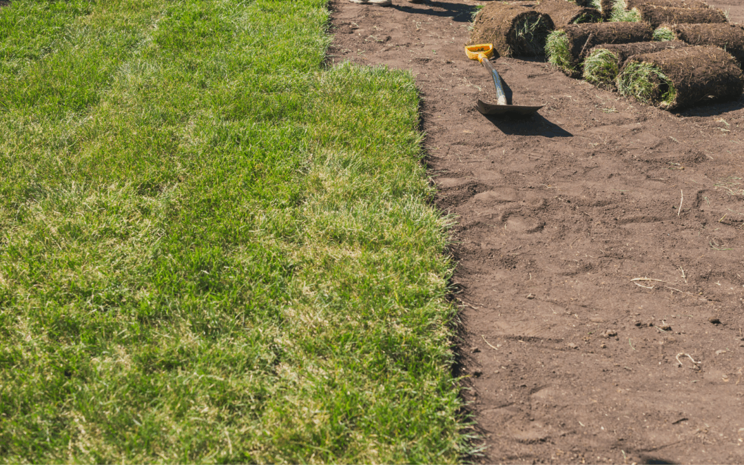 What Is The Best Time of Year For Sod Installation?