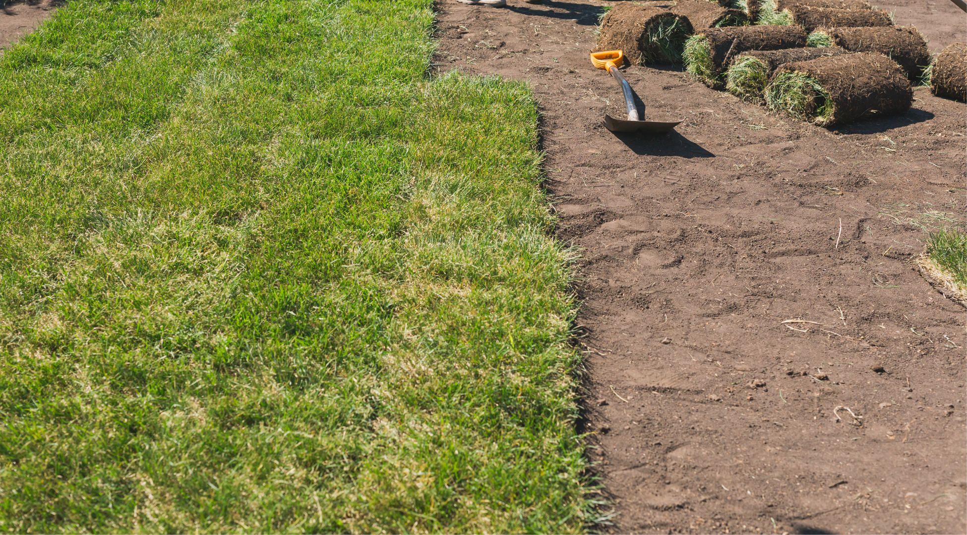 What Is The Best Time of Year For Sod Installation?