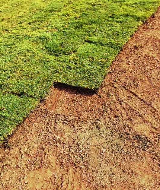 About Texas Sage Landscaping and Lawn LLC