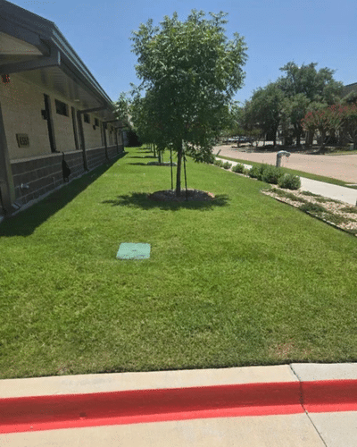 Landscaping Project Gallery Dallas