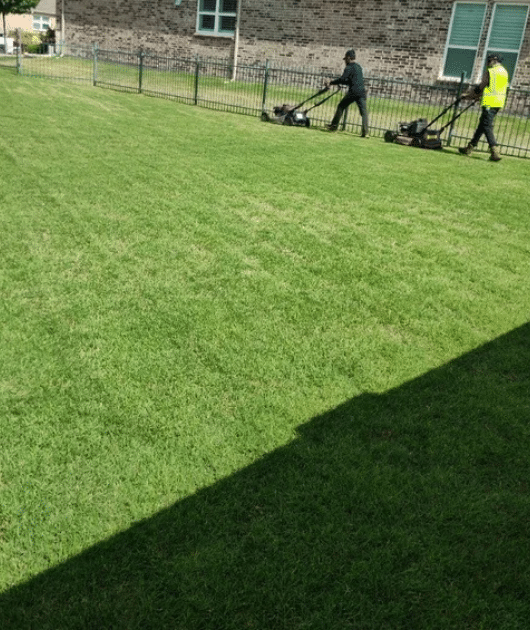 Dallas Landscaping Services in 2026