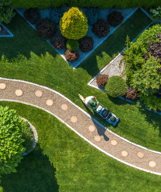 About Texas Sage Landscaping and Lawn LLC