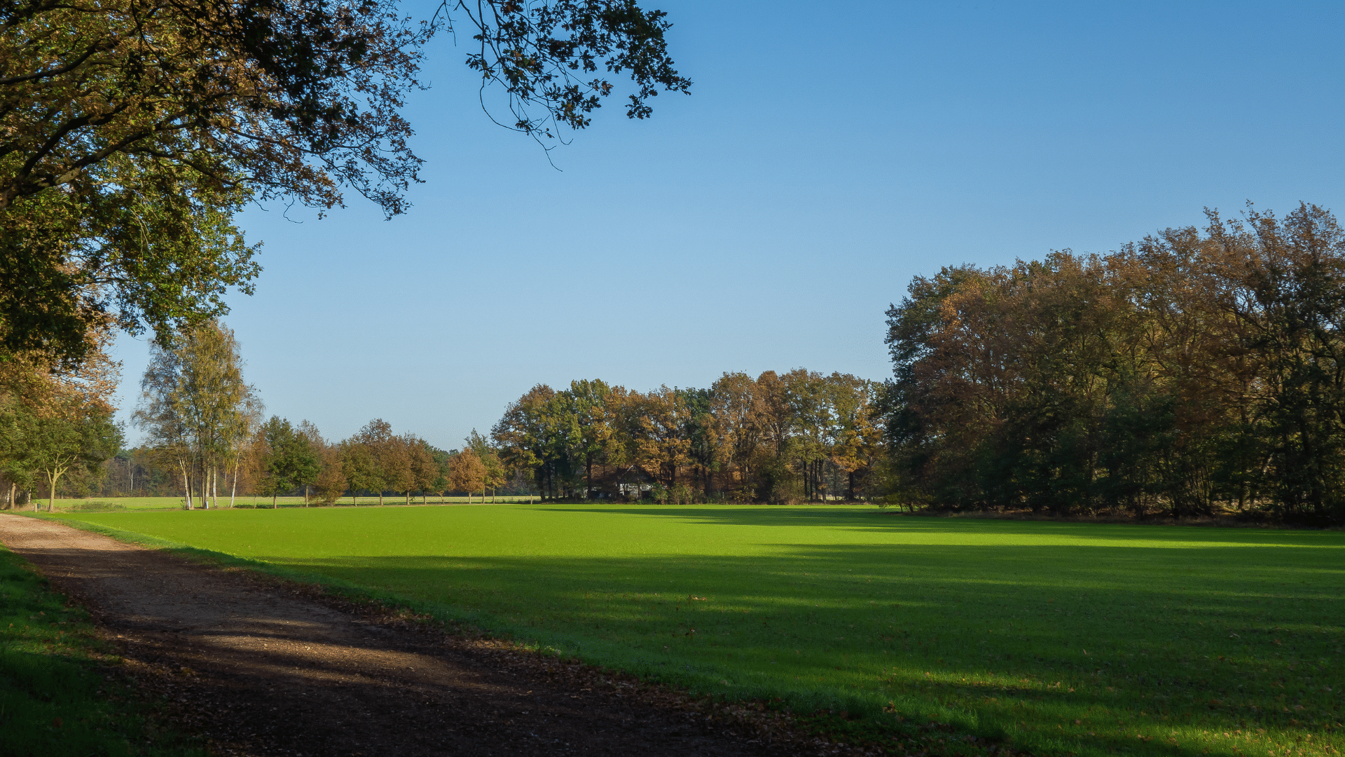 What Is Commercial Landscaping?