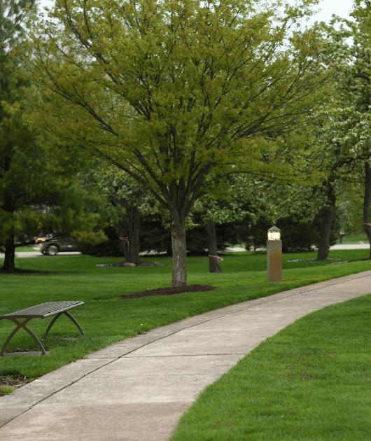 tx sage landscaping and lawn 12 943 19