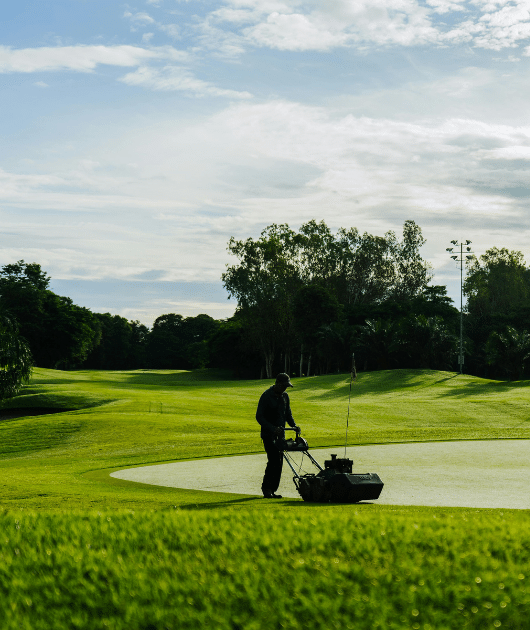 About Texas Sage Landscaping and Lawn LLC