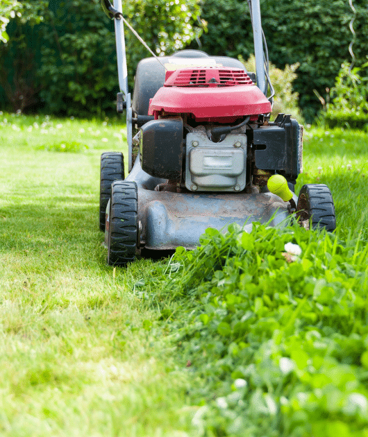 About Texas Sage Landscaping and Lawn LLC