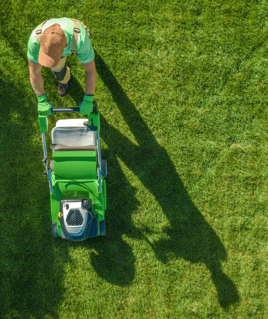 The Colony Lawn Care