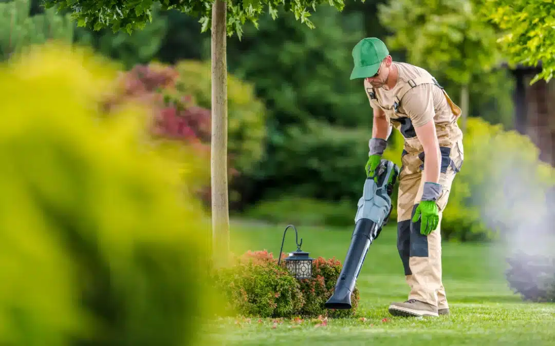 What Are Lawn Care Services?