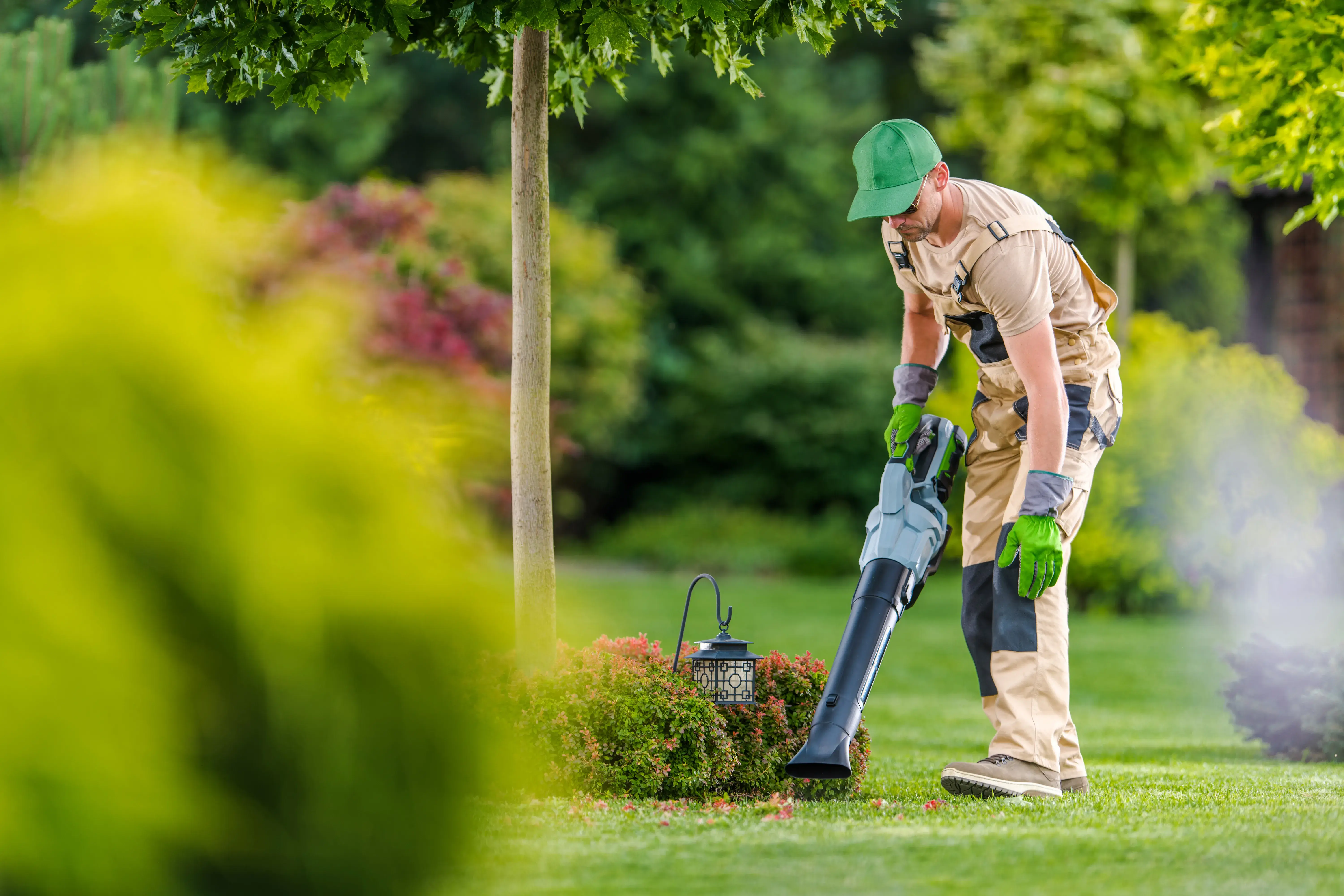 what are lawn care services