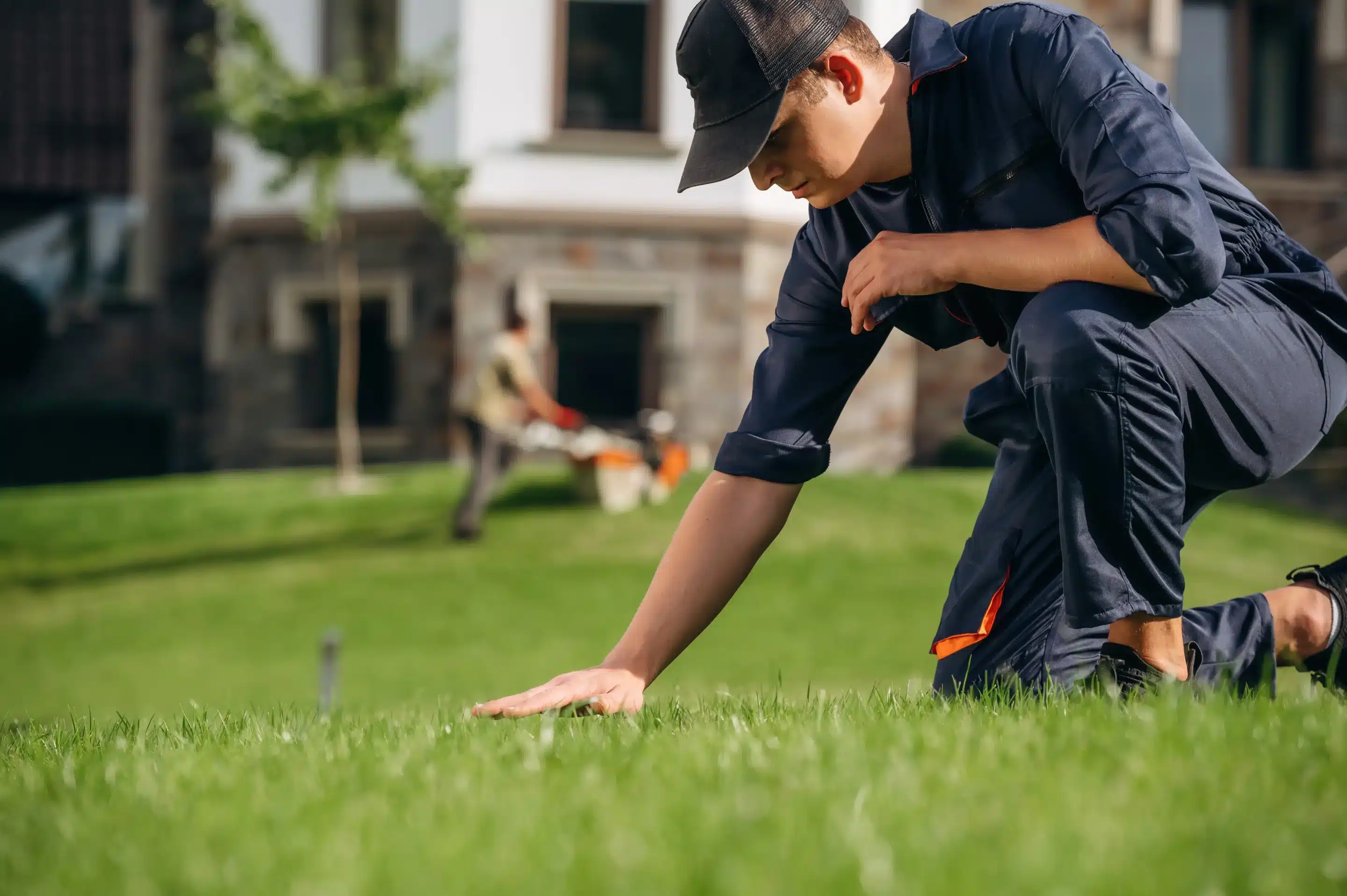 What Are Lawn Maintenance Services?