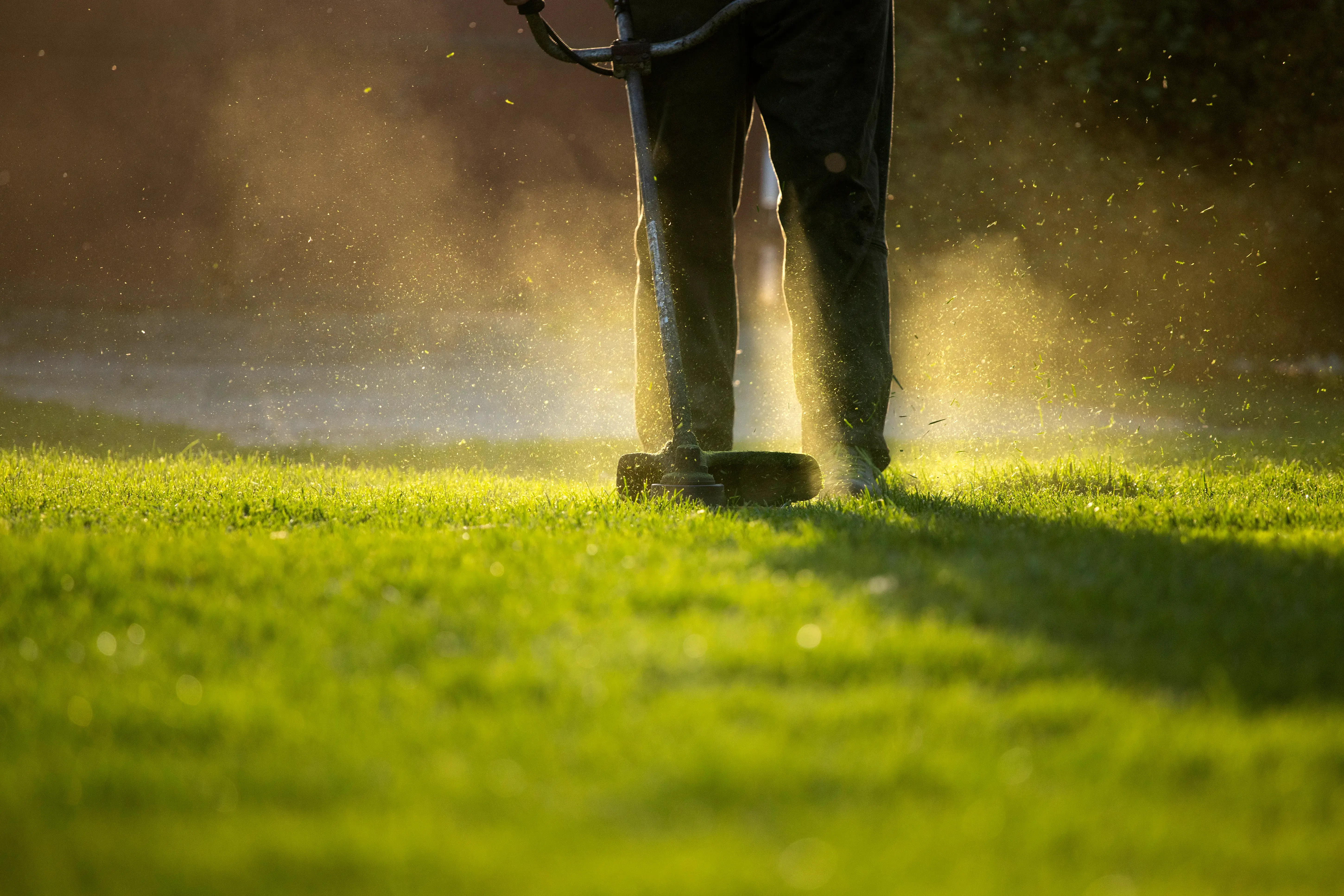 what are lawn maintenance services