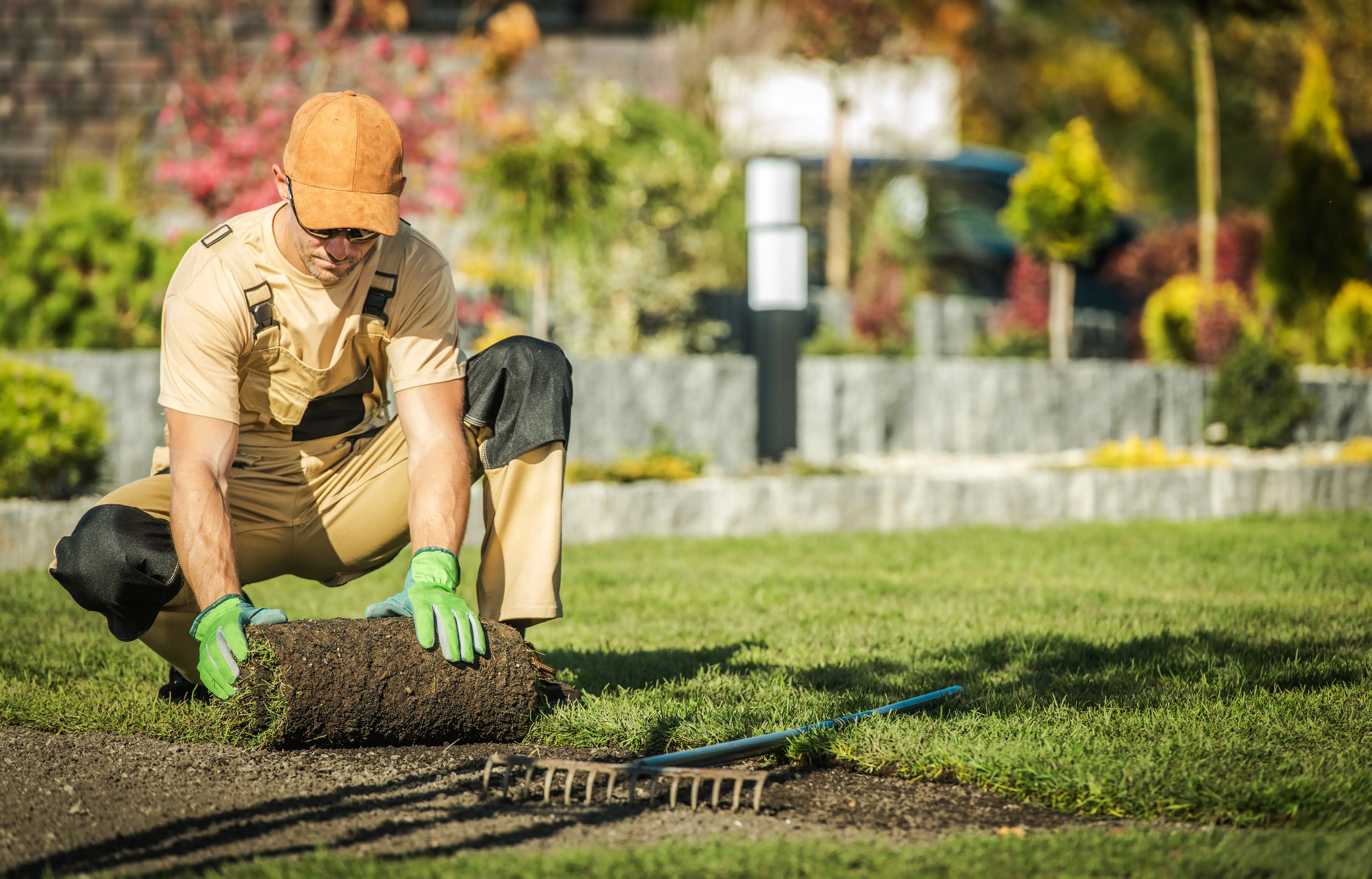 what services do lawn care companies provide 2