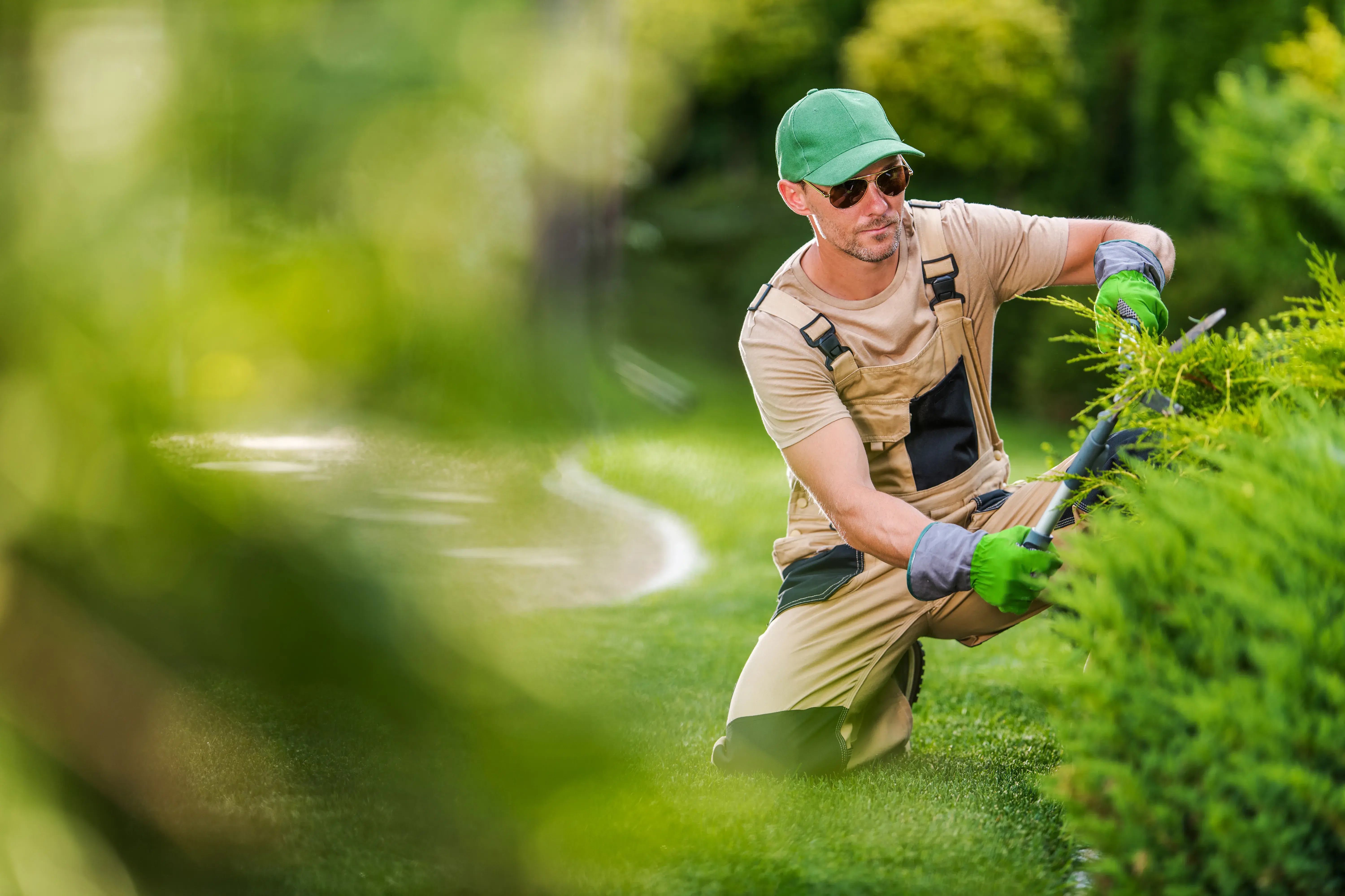 what services do lawn care companies provide