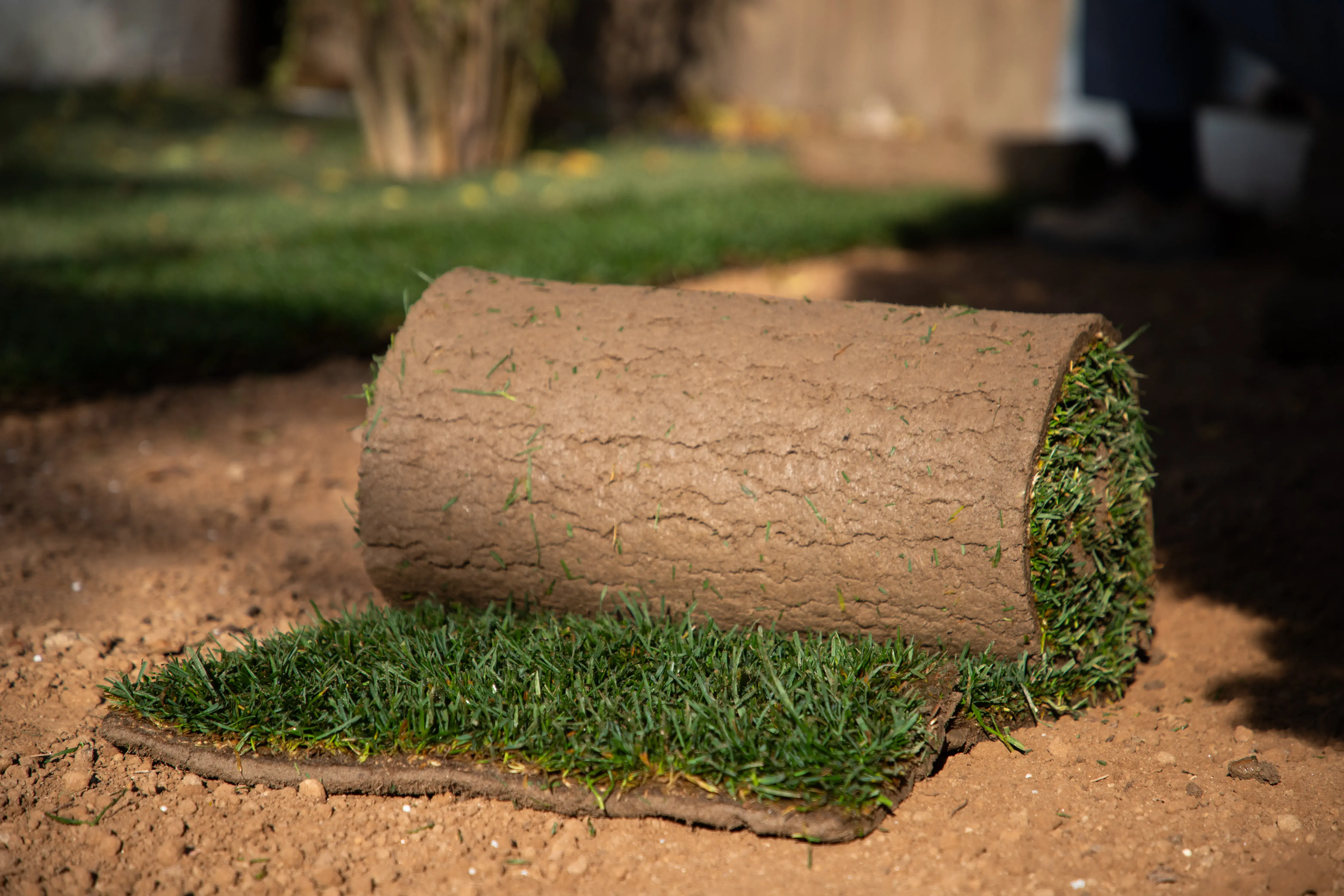 Smart Guide: How To Do Sod Installation?