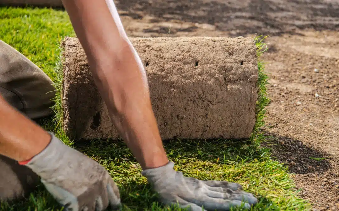 What Is Sod Installation?