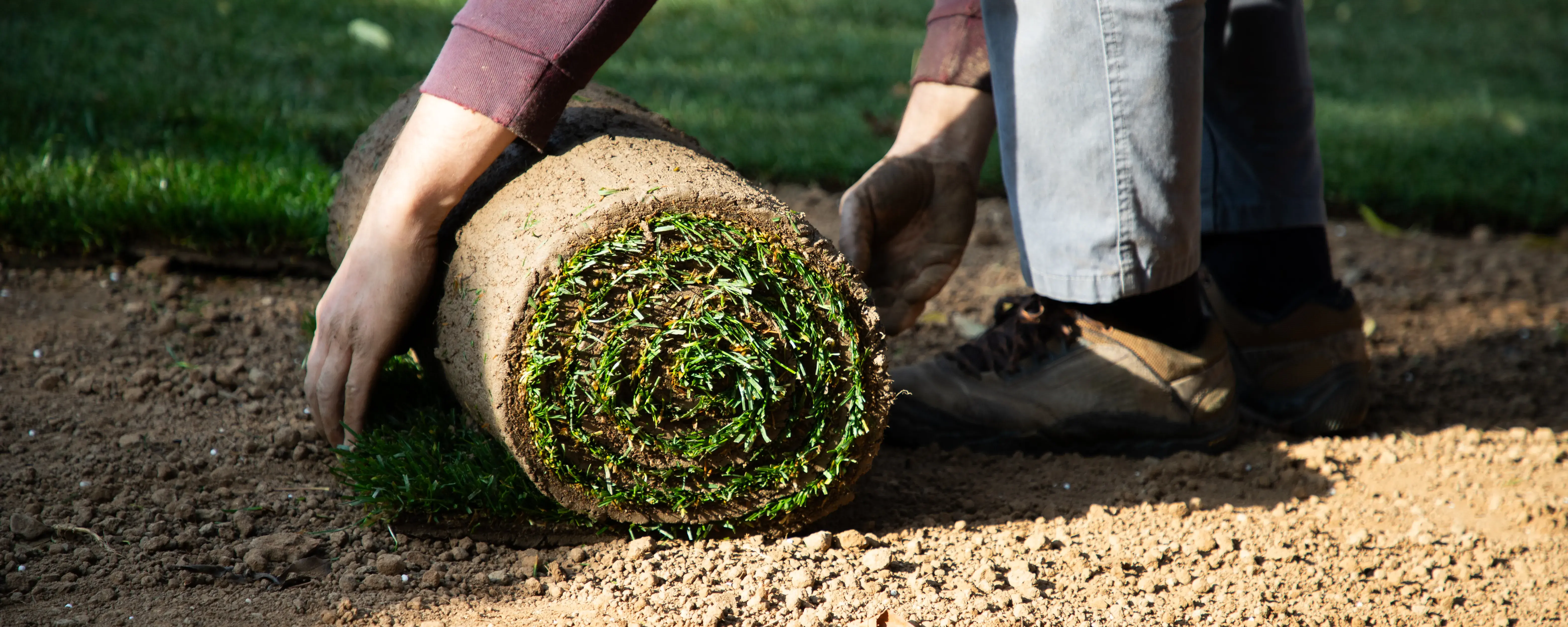 What Is Sod Installation?