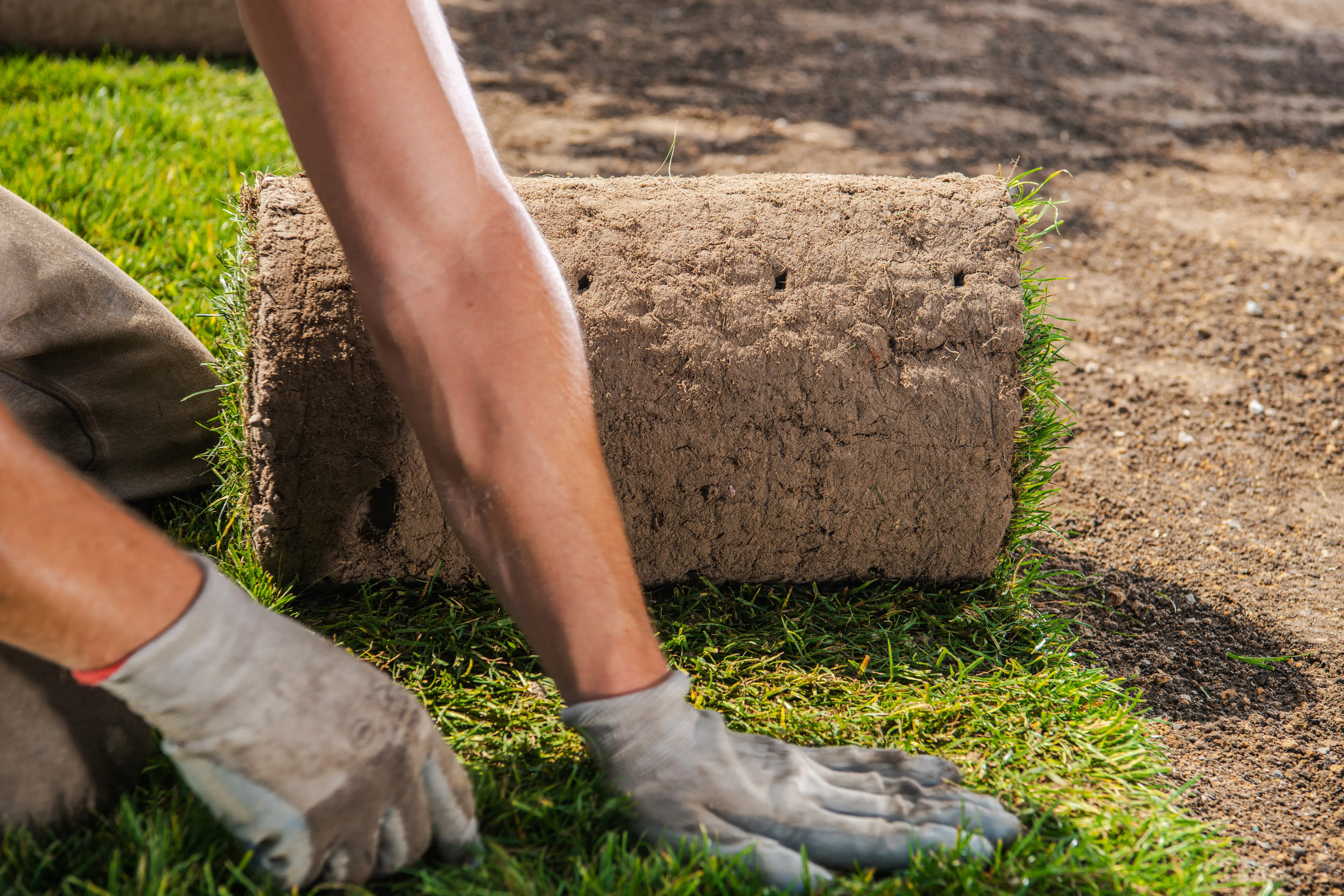 What Is Sod Installation in 2026
