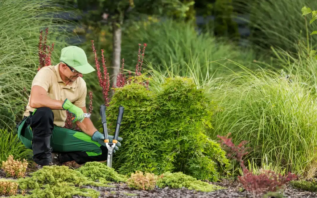 How Do You Maintain A Landscape?