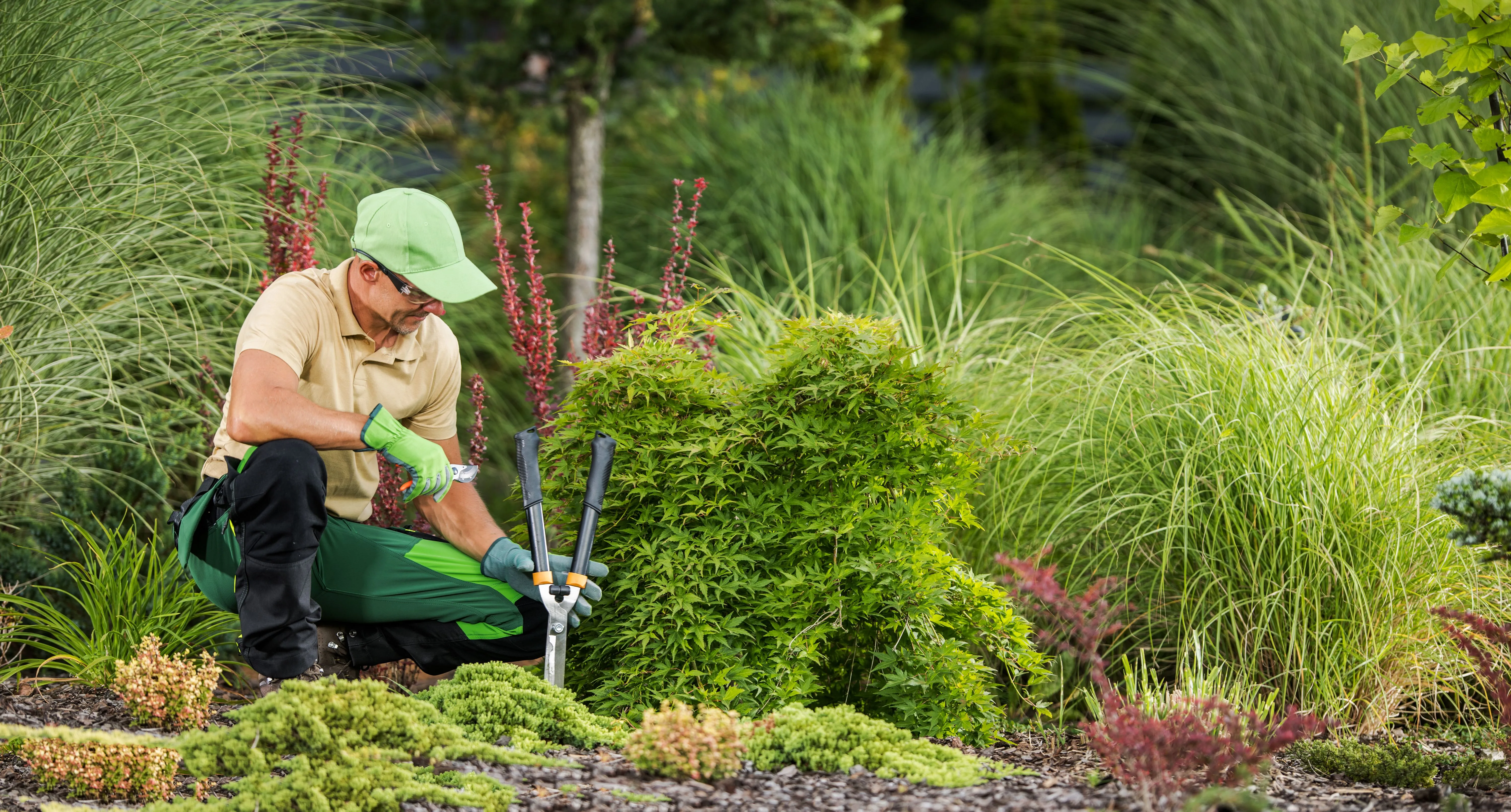 How Do You Maintain A Landscape? 11 How do you maintain a landscape?