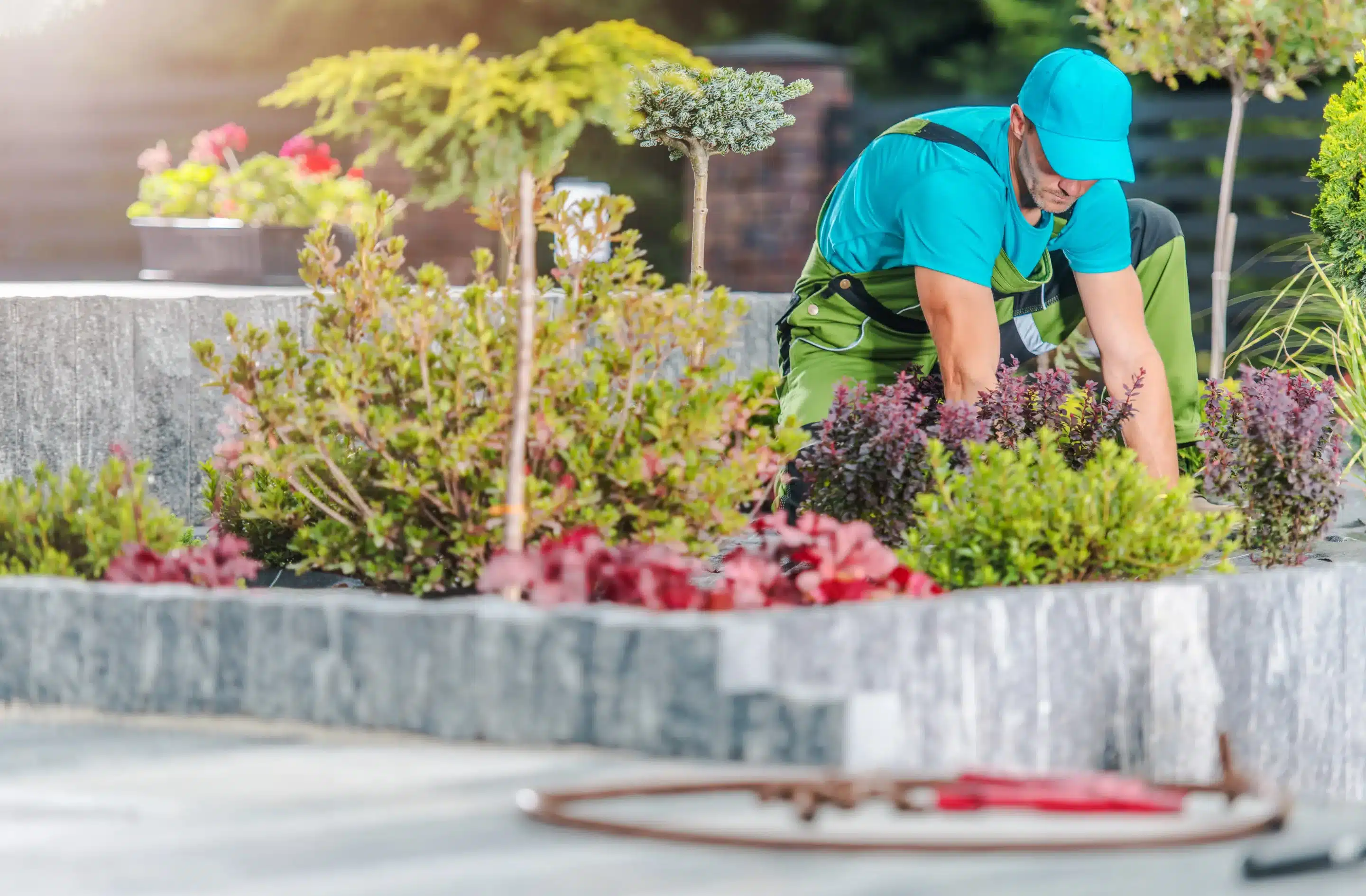 Is Paying For Landscaping Worth It?