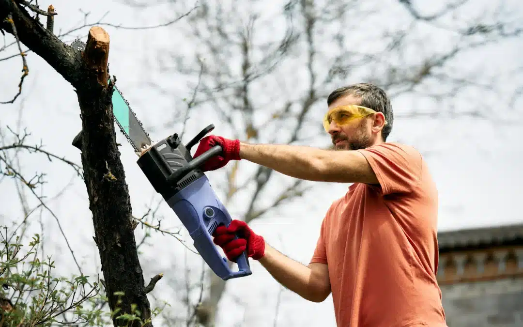 What is the Fatality Rate for Tree Trimmers: Shocking Risks Every Homeowner Should Know