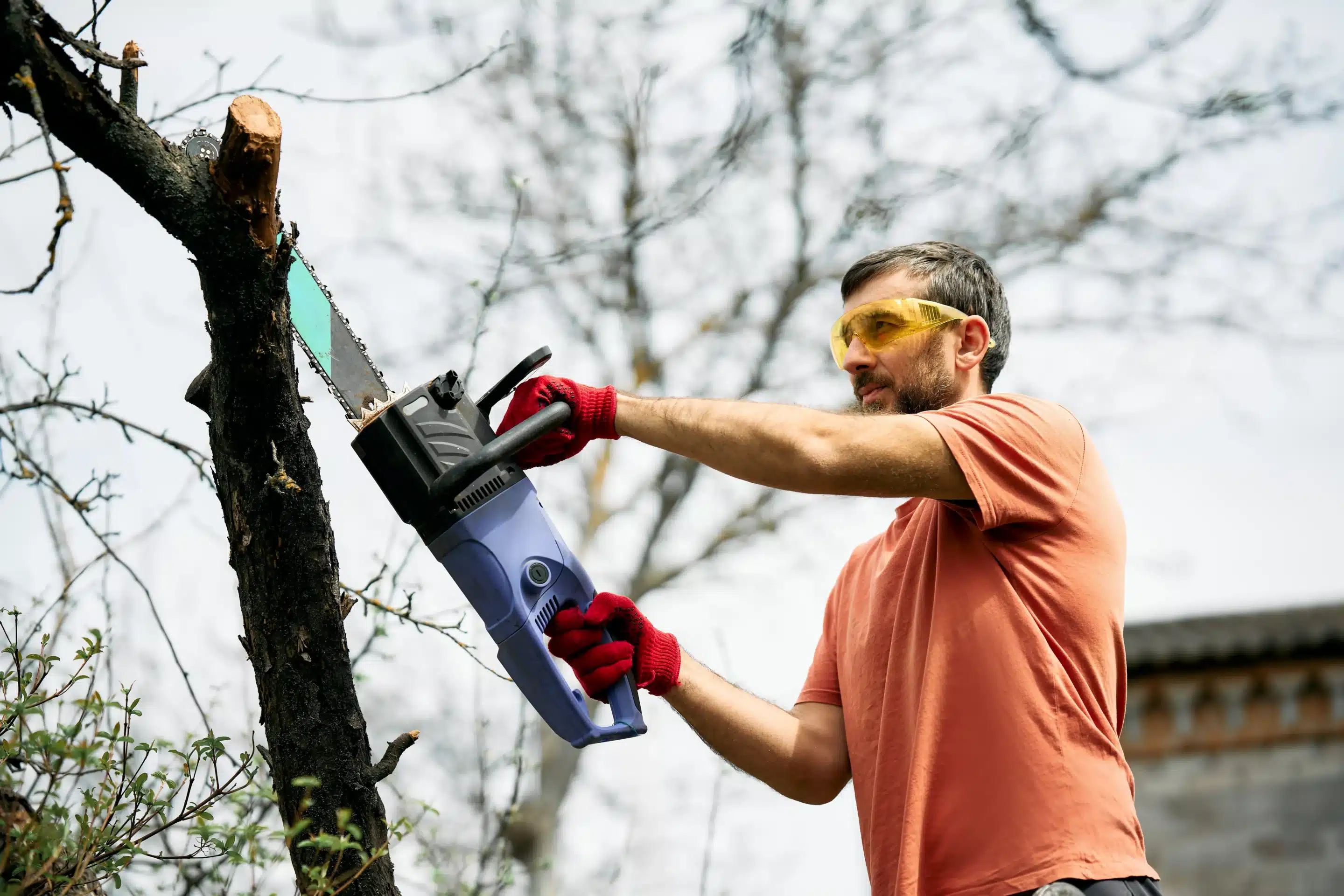 What is the Fatality Rate for Tree Trimmers: Shocking Risks Every Homeowner Should Know