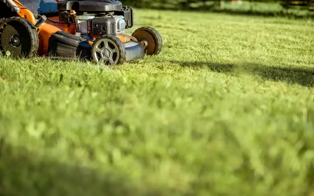 Benefits of Hiring a Lawn Mowing Service versus DIY: Save Time, Get Better Results, and Stress Less Today
