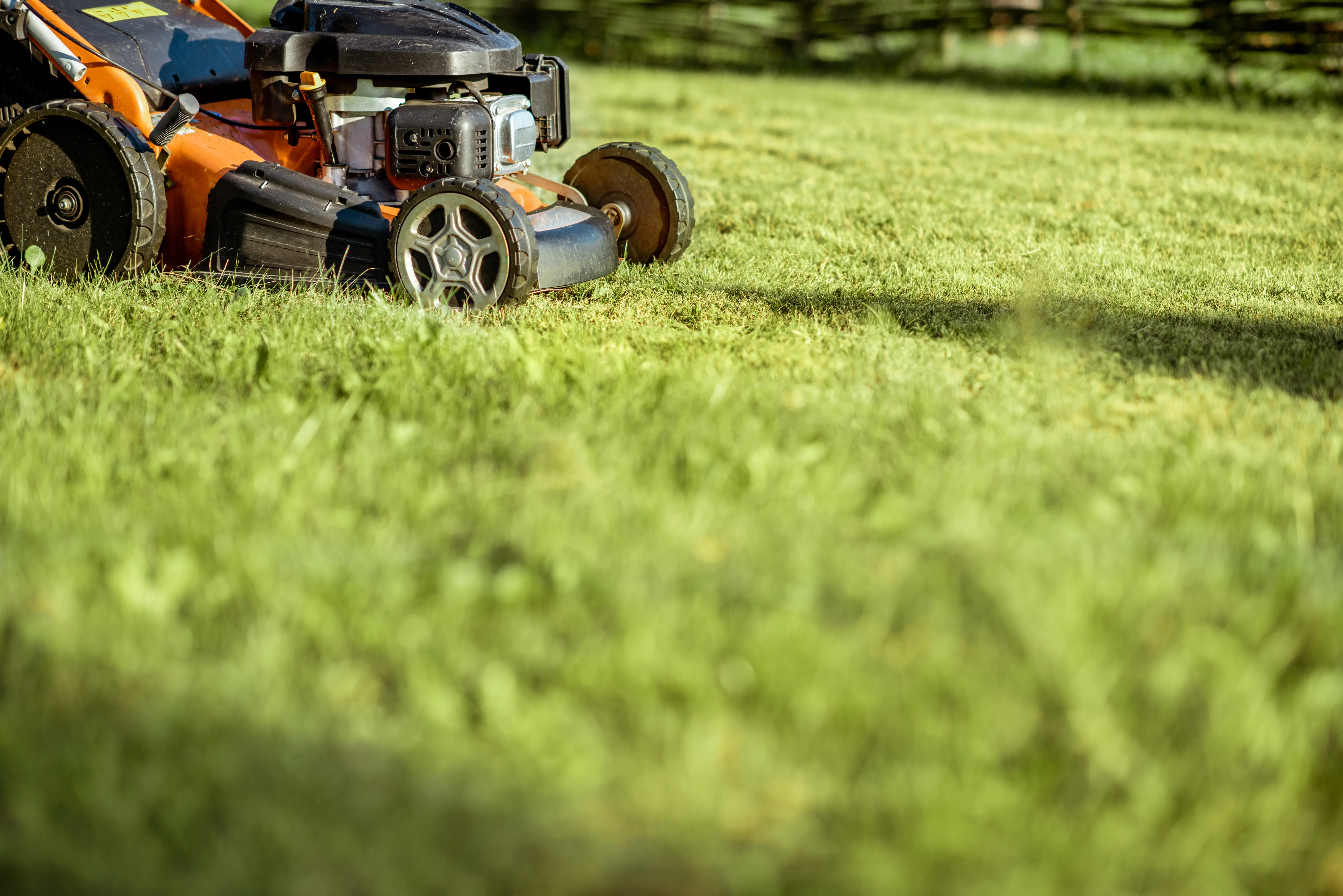 Benefits of hiring a lawn mowing service versus DIY