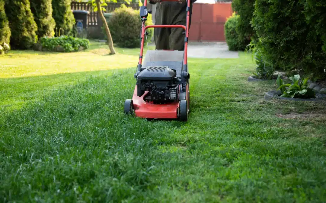 Where Can I Find Affordable Lawn Mowing Services: Smart Ways to Save Money and Get Great Results