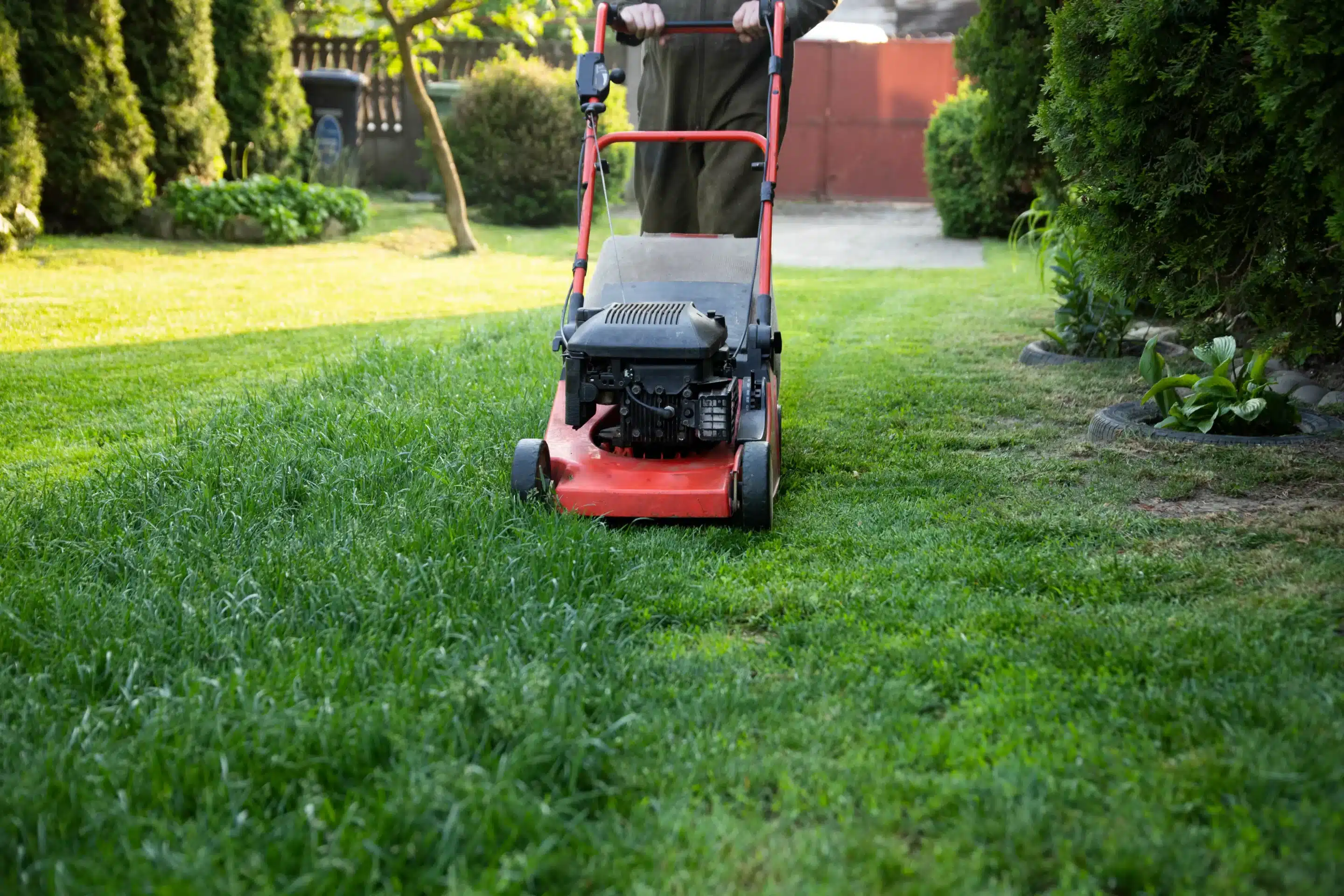 Where Can I Find Affordable Lawn Mowing Services: Smart Ways to Save Money and Get Great Results