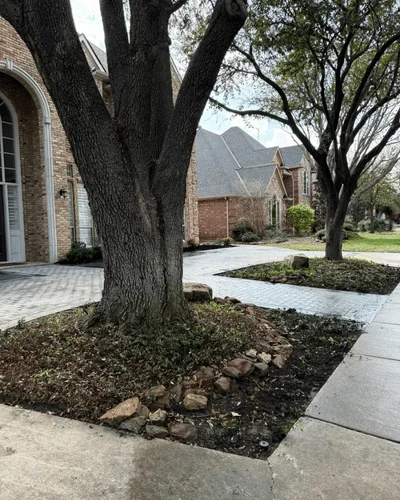 texas sage landscaping and lawns13