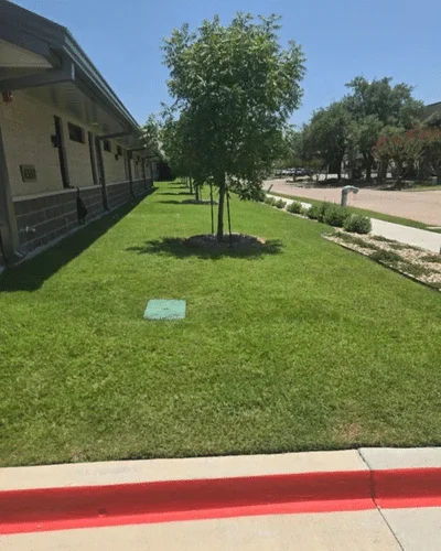 Landscaping Project Gallery Dallas